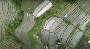 Jatiluwih Bike Tour Expedition — Full Day Individual tour — rent in Bali