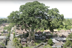 Jatiluwih Bike Tour Expedition — Full Day Individual tour — rent in Bali