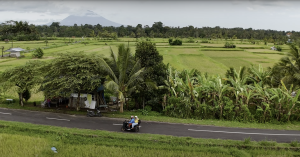 Jatiluwih Bike Tour Expedition — Full Day Individual tour — rent in Bali