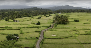 Jatiluwih Bike Tour Expedition — Full Day Individual tour — rent in Bali