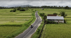Jatiluwih Bike Tour Expedition — Full Day Individual tour — rent in Bali