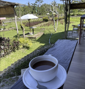 Jatiluwih Bike Tour Expedition — Full Day Individual tour — rent in Bali