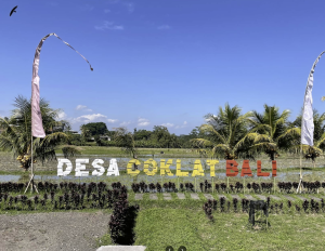 Jatiluwih Bike Tour Expedition — Full Day Individual tour — rent in Bali