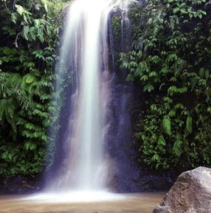 Jatiluwih Bike Tour Expedition — Full Day Individual tour — rent in Bali