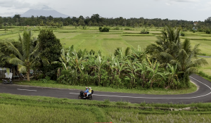 Jatiluwih Bike Tour Expedition — Full Day Individual tour — rent in Bali
