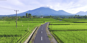 Jatiluwih Bike Tour Expedition — Full Day Individual tour — rent in Bali