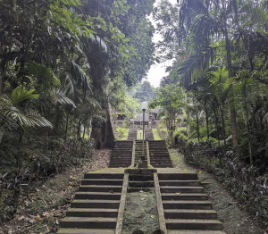 Jatiluwih Bike Tour Expedition — Full Day Individual tour — rent in Bali