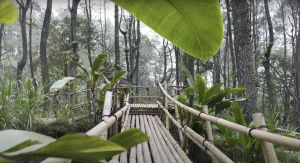 Black Lava Bike Expedition — 2 Days / 1 Night individual tour — rent in Bali