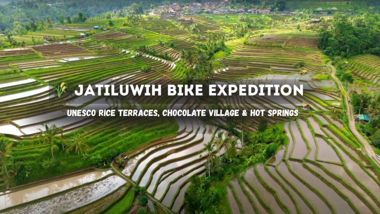 Tours — rent in Bali