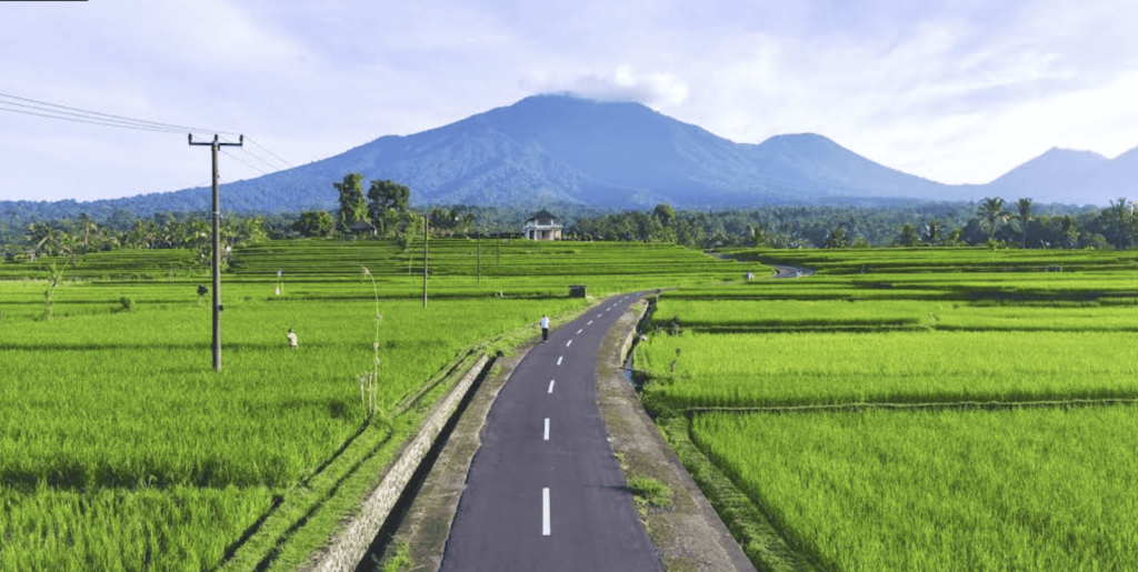 Jatiluwih