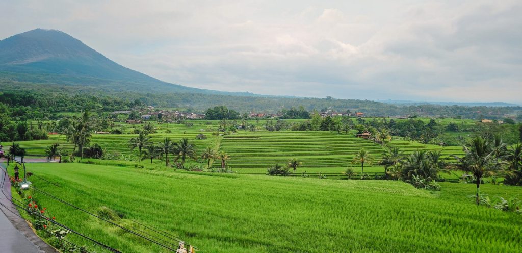 Jatiluwih Bike Tour — Full Day Individual tour — rent in Bali