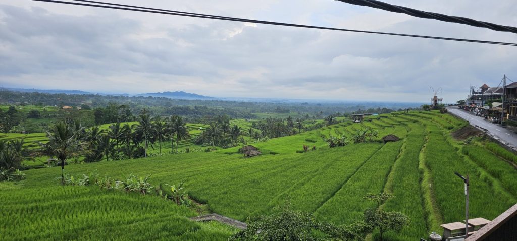 Jatiluwih Bike Tour — Full Day Individual tour — rent in Bali