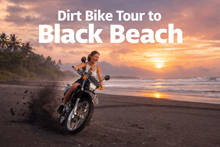 Tours — rent in Bali
