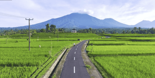 Jatiluwih2